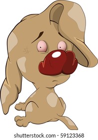 My dear and favorite puppy