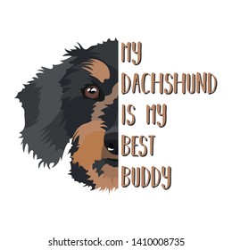 My dog Best Friend Dachshund
