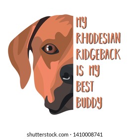 My dog Best Friend Rhodesian Ridgeback
