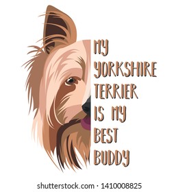 My dog Best Friend Yorkshire Terrier
