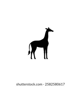 my favorites animal in  giraffes 