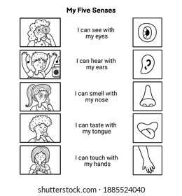My five senses educational black and white poster for kids. Sight, hearing, smell, taste, touch. Coloring page with human senses. Kids set for learning material. Vector illustration