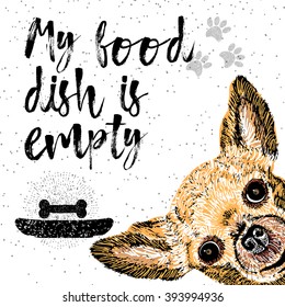 My food dish is empty. Vector illustration with hand drawn lettering and dog on texture background. Inscriptions for dog lovers. Brush lettering. Custom typographic. calligraphy. Demanding phrase.