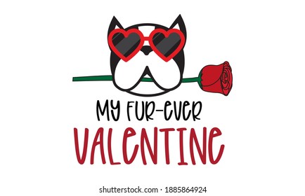 My Fur Ever Valentine isolated on white background. Dog Boston terrier Lover and Rose Handwriting design. For t shirt, greeting card or poster design Background Vector Illustration.