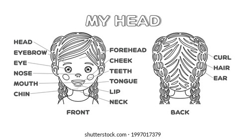 My head, Face and cute cartoon girl. Names of the Parts of the face. Front and back view. Poster for children education. Workbook page for studying and playing with children. Black and white. Vector.
