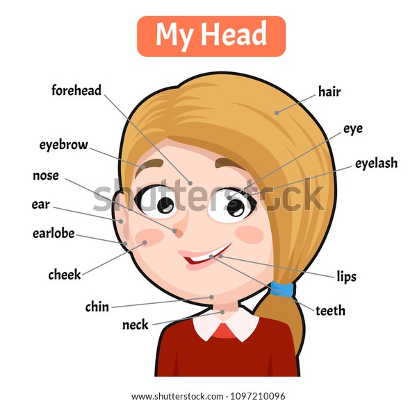 My Head Parts Girl Cartoon Book Stock Vector (Royalty Free) 1097210096