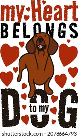 My Heart belongs to my dog design. St Valentine's day dog design, valentines style dachshund dog with hearts. Dog design with text.