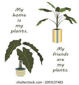 My home is my plants. My friends are my plants. Illustration with texts. Vector. For plant lovers.