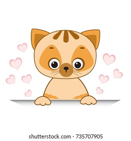 My little cute cartoon  cat. T-shirt design. Vector illustration.