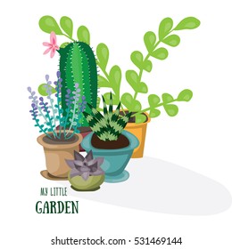 My little garden. Flat vector illustration. Succulent, cactus, lavender nd other green home plants.