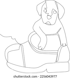 my little puppy's pocket shoes