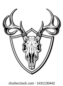 My prized deer skull trophy