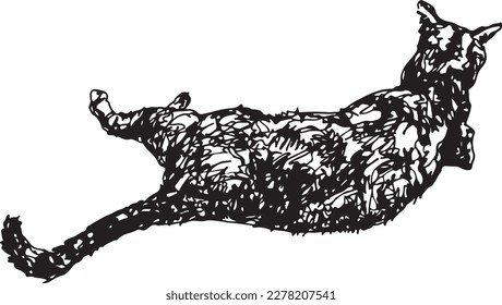 My thai cat pattern Drawn with a black ink pen.