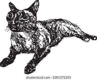 My thai cat pattern Drawn with a black ink pen.