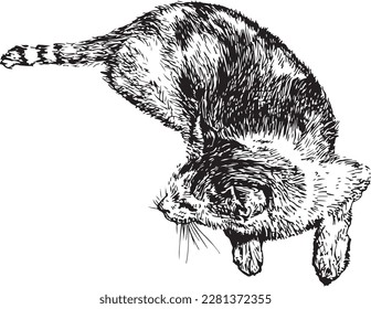 My thai cat pattern Drawn with a black ink pen.