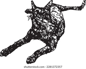 Mein thailändisches Katzenmuster Zieht mit einem schwarzen Stift.