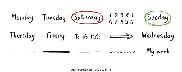 My week handwritten names days and numbers, underlines. Doodle hand drawn set. Vector illustration