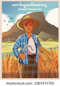 Myanmar Peasants' Day or Farmers' Day Full Vector Illustration. Asian Old Farmer Character Harvesting Ripe Rice in Rice Field or Paddy Field Design Concept