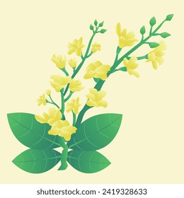 Myanmar splashing water traditional yellow flower illustration vector