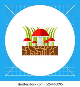 Mycelium and Mushrooms Icon