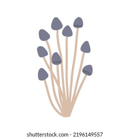 Mycena, poisonous mushrooms, vector flat illustration on white background.