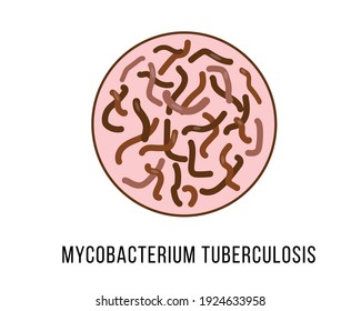 Mycobacterium Tuberculosis Icon On White Background Stock Vector ...