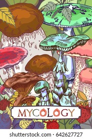 Mycology cover illustration with leaves and berries in engraved style. Fully editable vector illustration with clipping mask. Figured table with mushroom lettering.