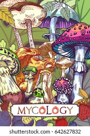 Mycology cover illustration with leaves and berries in engraved style. Fully editable vector illustration with clipping mask. Figured table with mushroom lettering.