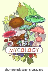 Mycology cover illustration with leaves and berries in engraved style. Fully editable vector illustration with clipping mask. Figured table with mushroom lettering.