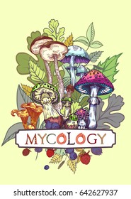 Mycology cover illustration with leaves and berries in engraved style. Fully editable vector illustration with clipping mask. Figured table with mushroom lettering.