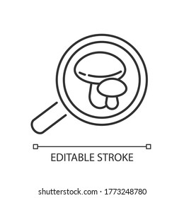 Mycology pixel perfect linear icon. Fungi study, mushroom hunting thin line customizable illustration. Contour symbol. Mushrooms under magnifying glass vector isolated outline drawing. Editable stroke