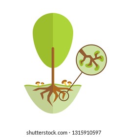 Mycorrhiza fungus on the roots of a green tree with an enlarged view. 
Vector illustration for a gardening magazine brochure. EPS 10