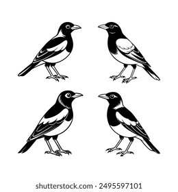 Myna Bird Logo Art Illustration - Ideal for T-shirt Design, Hoodie Design, Pillow Cover Design, and More