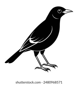 Myna Bird Silhouette Art Design Illustration