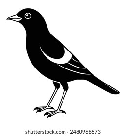 Myna Bird Silhouette Art Design Illustration