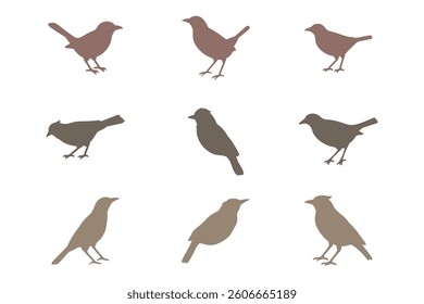 Myna Bird Silhouette Icon Set