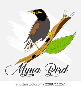 Myna Bird Vector Art, Graphics and Stock Illustrations