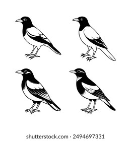 Myna Birds Logo Icons Illustration - Ideal for T-shirt Design, Hoodie Design, Pillow Cover Design, and More