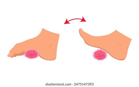 Myofascial release exercise for legs with a spike ball. Exercise for feet. Rehabilitation training. Vector illustration