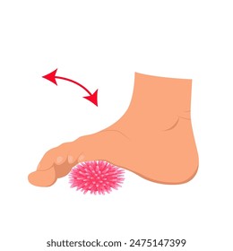 Myofascial release exercise for legs with a spike ball. Exercise for feet. Rehabilitation training. Vector illustration