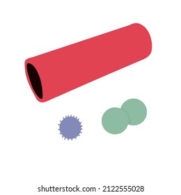 Myofascial release (MFR) roller and balls muscle health sports