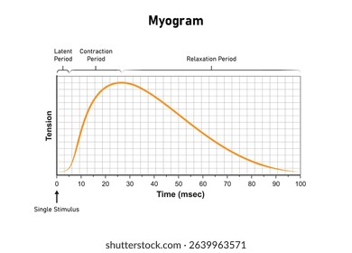 Myogram, Muscle Response of a Single Stimulation Science Design. Vector Illustration.	