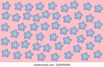 Myosotis alpestris is beautiful blue flower, forget me nots and scorpion grass