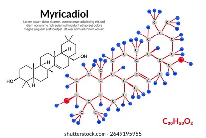 Myricadiol, composto triterpenoide pentacíclico, fórmula de estrutura molecular, modelo bola-e-vara, adequado para a educação ou conteúdo da ciência química. Ilustração vetorial