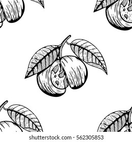 myristica pattern