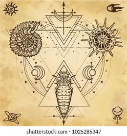 Mysterious background: shell, larva, molecule, sacred geometry. Background - imitation of old paper, parchment.Esoteric, mysticism, occultism. Print, poster, t-shirt, card. Vector illustration.