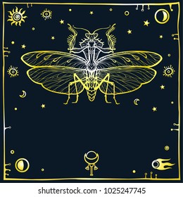 Mysterious background: the stylized color image of a mantis, space symbols. Gold imitation. Esoteric, mysticism, occultism. Print, poster, t-shirt, card. Vector illustration.