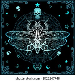 Mysterious background: the stylized color image of a mantis, a mystical circle, a decorative frame. Esoteric, mysticism, occultism. Print, poster, t-shirt, card. Vector illustration.