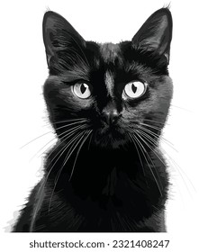 Mysterious Black Cat design, Black Cat illustration