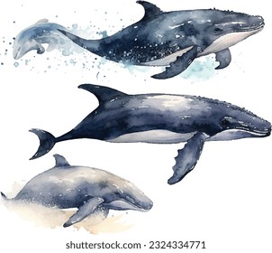 Mysterious creatures under the sea